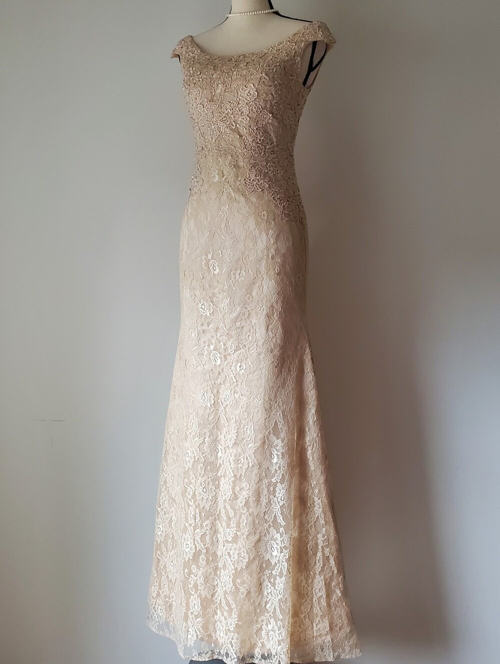 Elegant Lace Evening Gown in Champagne